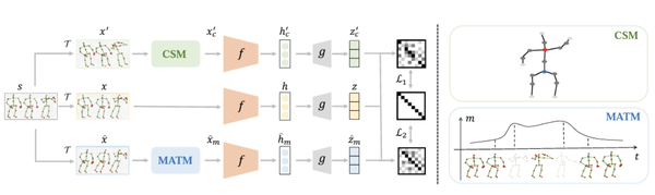 Self-supervised Action Representation Learning from Partial Spatio-Temporal Skeleton Sequences